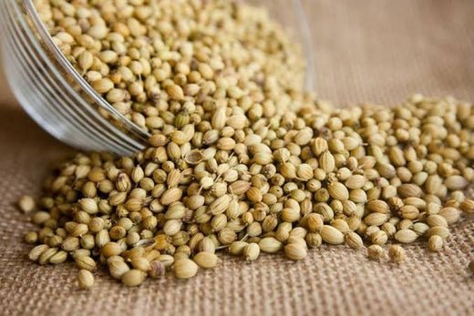 All About Coriander Seeds (Dhaniya) | Culinary Uses, Benefits & History" - Prateek Spices