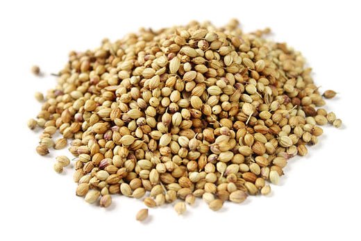 Top 10 Health Benefits of Coriander Seeds (Dhaniya) for Well-being - Prateek Spices