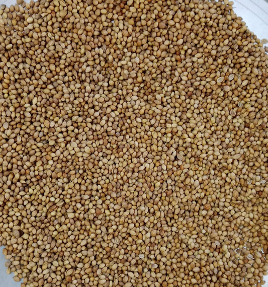 Coriander (Dhaniya) Seeds - Premium Badami Variety | Fresh, Organic & Aromatic - Prateek Spices